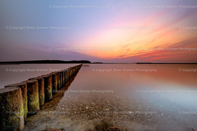 NZ6_6535 | Hochzeiten, Familien, Paare, Portraits, Kinder, Shooting, Bad-Neuenahr, Ahrweiler, Bonn, Meckenheim, Fotograf, Grafschaft - Realisiert mit Pictrs.com