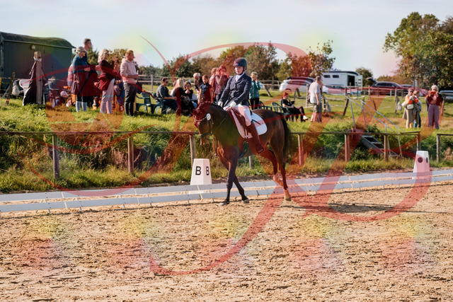 2026_10_03_Siefer-Hof_125624_Z63_63678567 | Professionelle Reitsport-, Turnier- und Eventfotografie von Robert Broda. Galerien mit ausgewählten und bearbeiteten Bildern direkt online ansehen und bestellen.