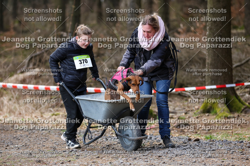 Dog Paparazzi - VCC26-711 | Dog Paparazzi Jeanette Grottendiek Fotografie & Videografie - Realisiert mit Pictrs.com