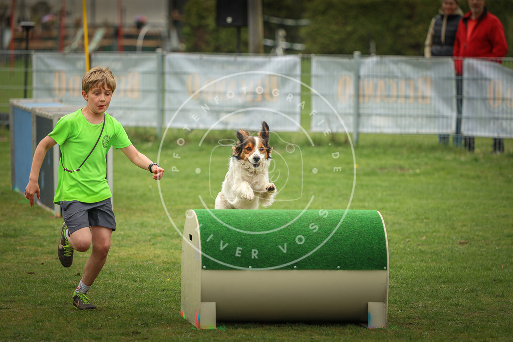 Pfotenfotografie_0L8A1728 | Hundefotografie, Tierfotograf, Pfotenfotografie, Fotoshooting Hund, Hunde Portrait, Hundesport, Hundeportraits, Heideshooting, Hunde, Sportfotograf, Hundefotograf, Turnierhundsport, THS,  - Realisiert mit Pictrs.com