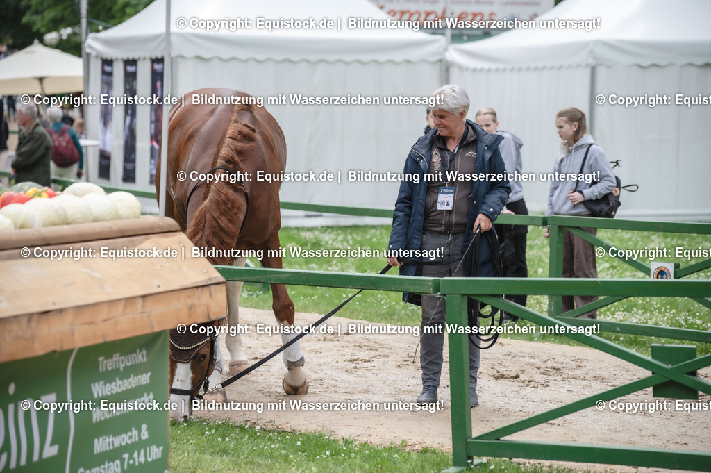 20240518_Impressionen_0073 | Foto: Thomas Hartig