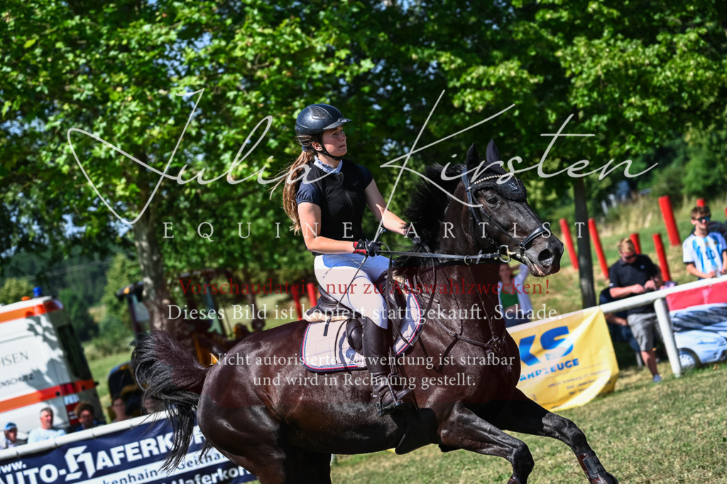 DSC_1327 | Pferde- und Turnierfotografie in Westsachsen. Pferdeportraits, Auftragszeichnungen und intuitive Kunst.