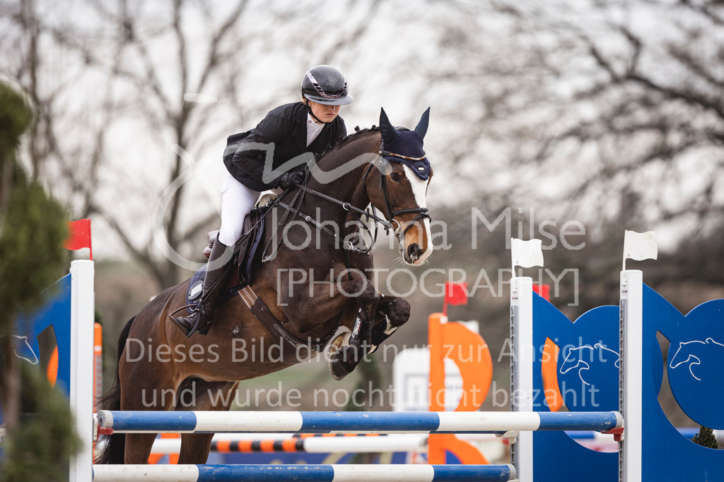 240327_Fruehlingsfest_Stil-L-2-390 | Deine schönsten Turniermomente als professionelle Fotos! Entdecke hochwertige Pferdesport-Fotografie im Online-Shop. Jetzt Fotos finden & bestellen!