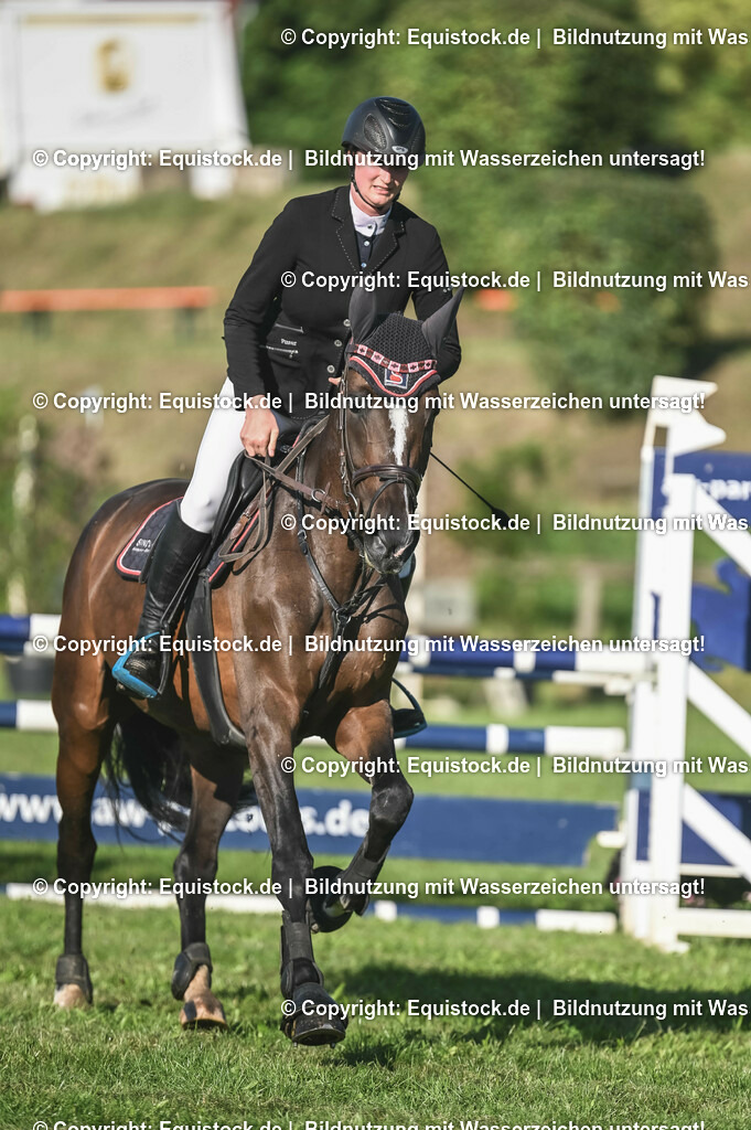 20230908_14-15_Springpferde-A_0044 | equistock