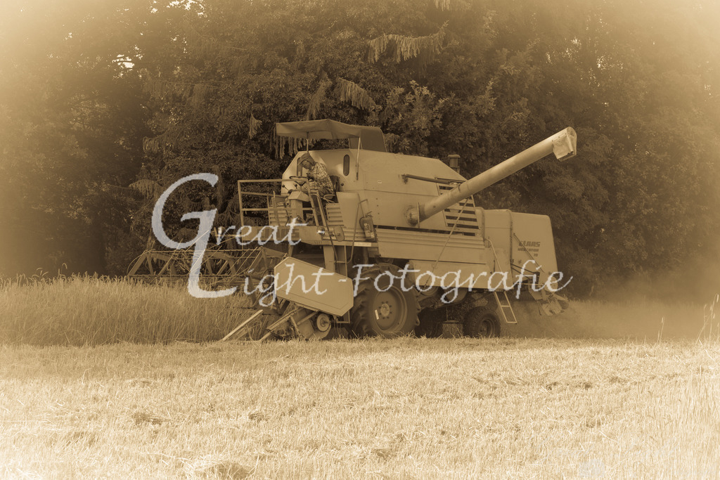 DSC_2714 | Great-Light Fotografie - Realisiert mit Pictrs.com