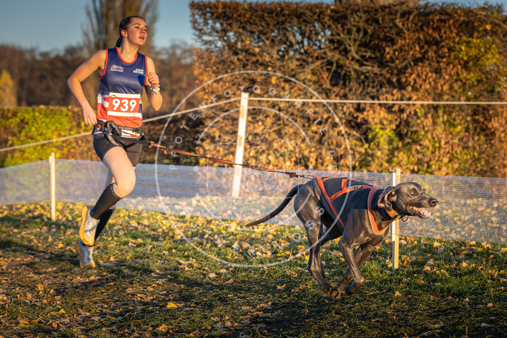 CaniXpix_DV3A5349 | Hundefotografie, Tierfotograf, Pfotenfotografie, Fotoshooting Hund, Hunde Portrait, Hundesport, Hundeportraits, Heideshooting, Hunde, Sportfotograf, Hundefotograf, Turnierhundsport, THS,  - Realisiert mit Pictrs.com