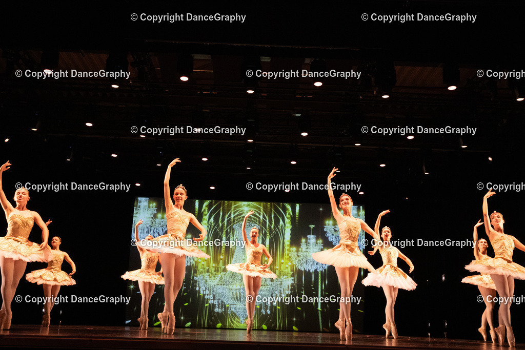 GPHY6534 | DanceGraphy - Realisiert mit Pictrs.com