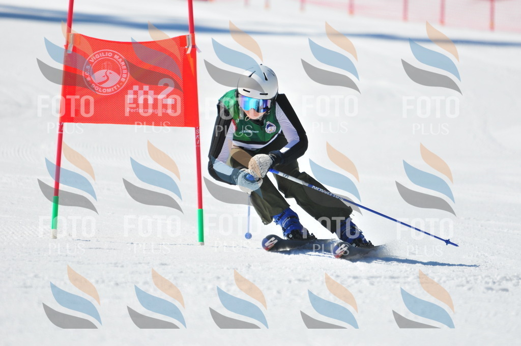 C4245 | holidayphoto