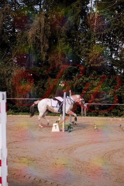 2026_10_03_Siefer-Hof_144155_Z81_14203497 | Professionelle Reitsport-, Turnier- und Eventfotografie von Robert Broda. Galerien mit ausgewählten und bearbeiteten Bildern direkt online ansehen und bestellen.
