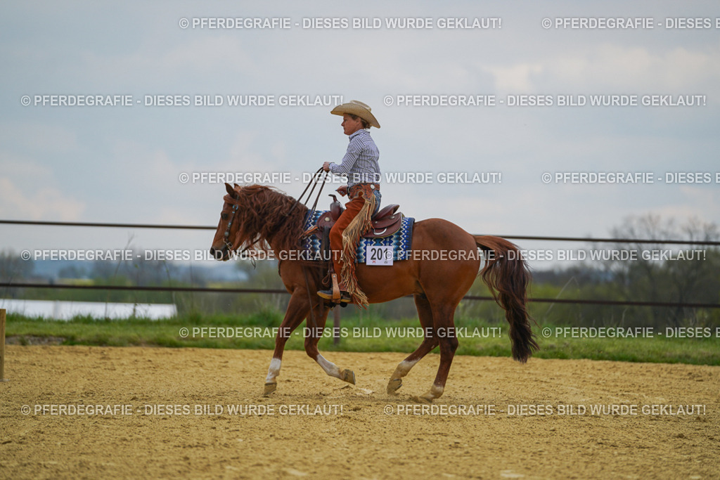 DSC07801 | Pferdegrafie