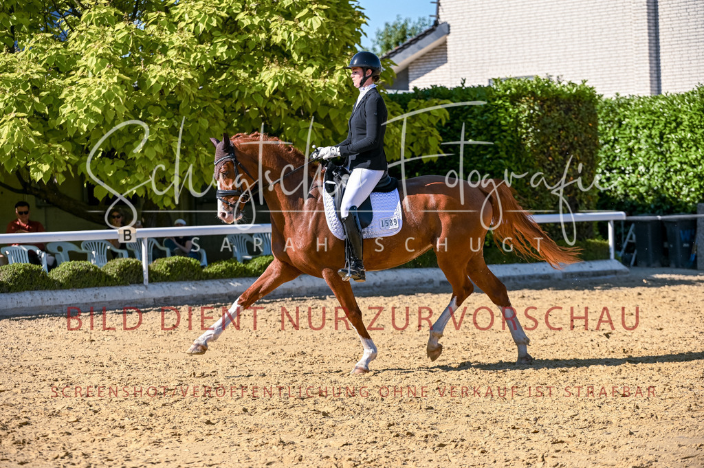 Schugtsche-Aluta25-50.Dressurpferdeprf.L-280 | Schugtsche Fotografie - Realisiert mit Pictrs.com