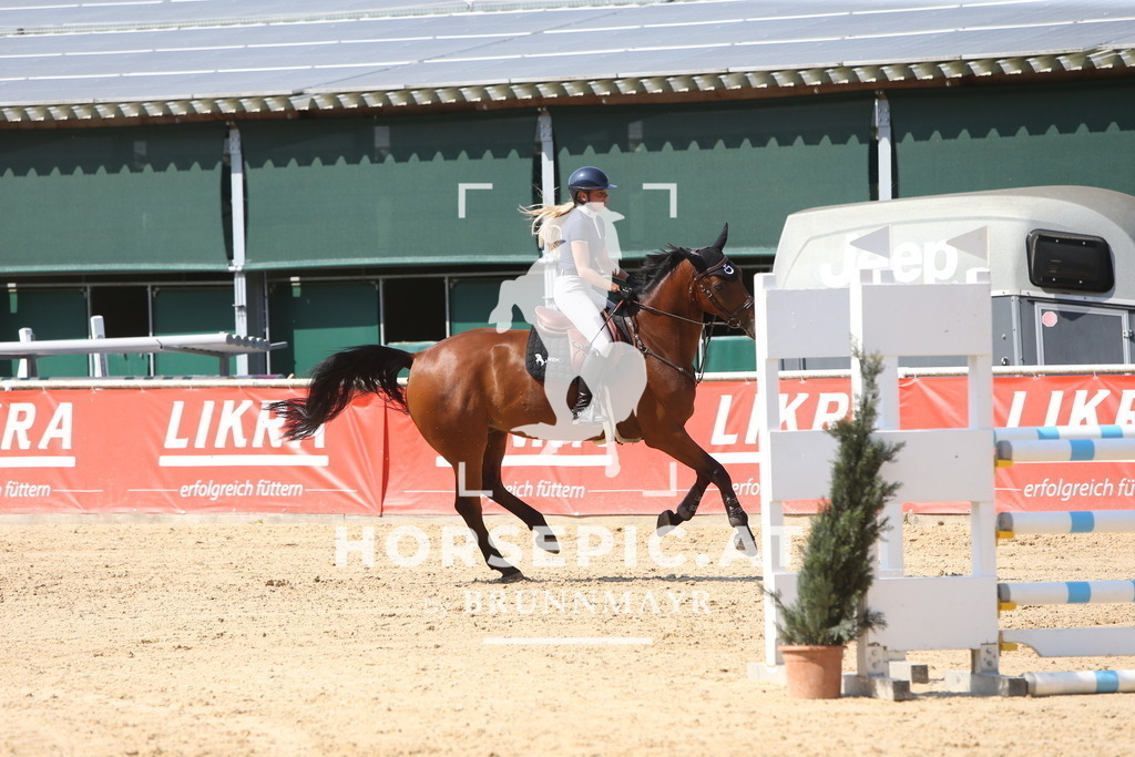 DL2Q1682 | Willkommen bei Brunnmayr - Design & Fotografie – Ihrem Spezialisten für Reitturniere und Pferdeveranstaltungen in Oberösterreich, Salzburg und Bayern! Seit über 17 Jahren sind wir leidenschaftlich dabei.
