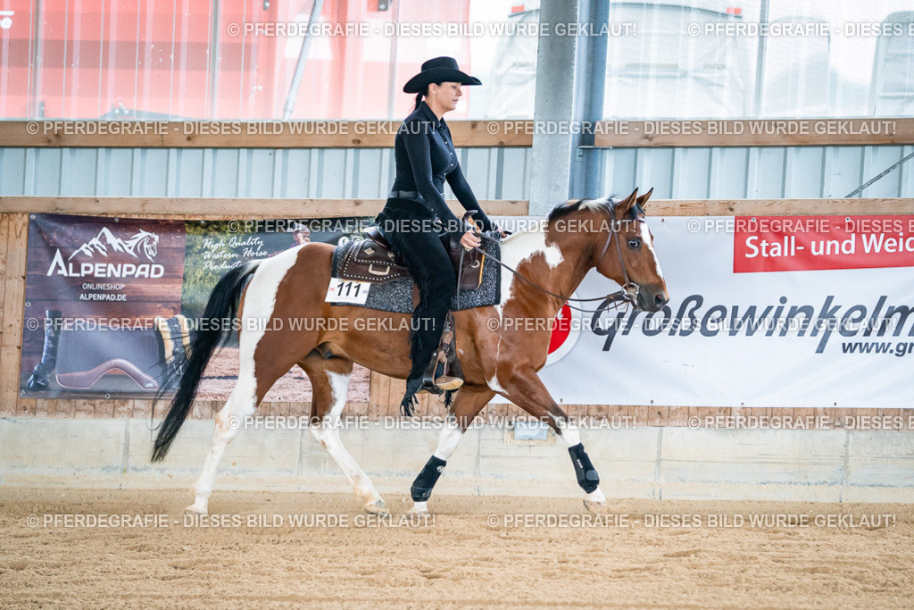 DSC08430 | Pferdegrafie