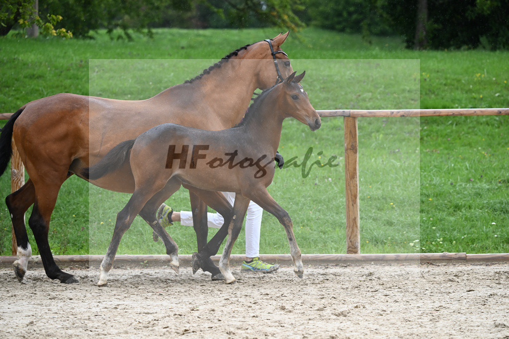 Kat-Nr. 20 SF Comme Prevu_Mayer_25230259 | hf-fotografie - Realisiert mit Pictrs.com