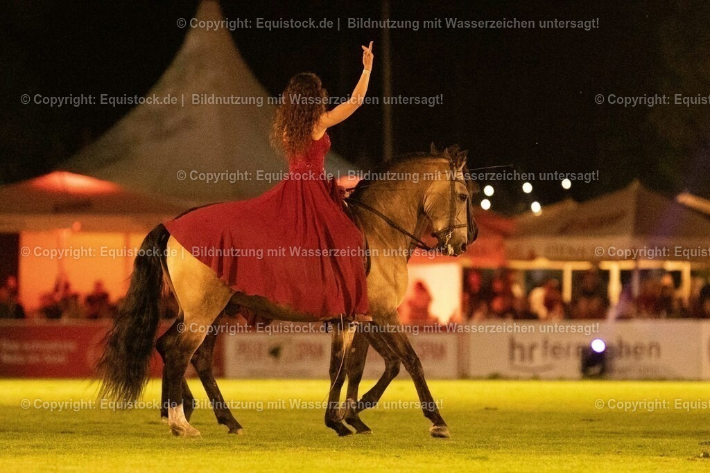 20230526_Pferdenacht_1462 | equistock