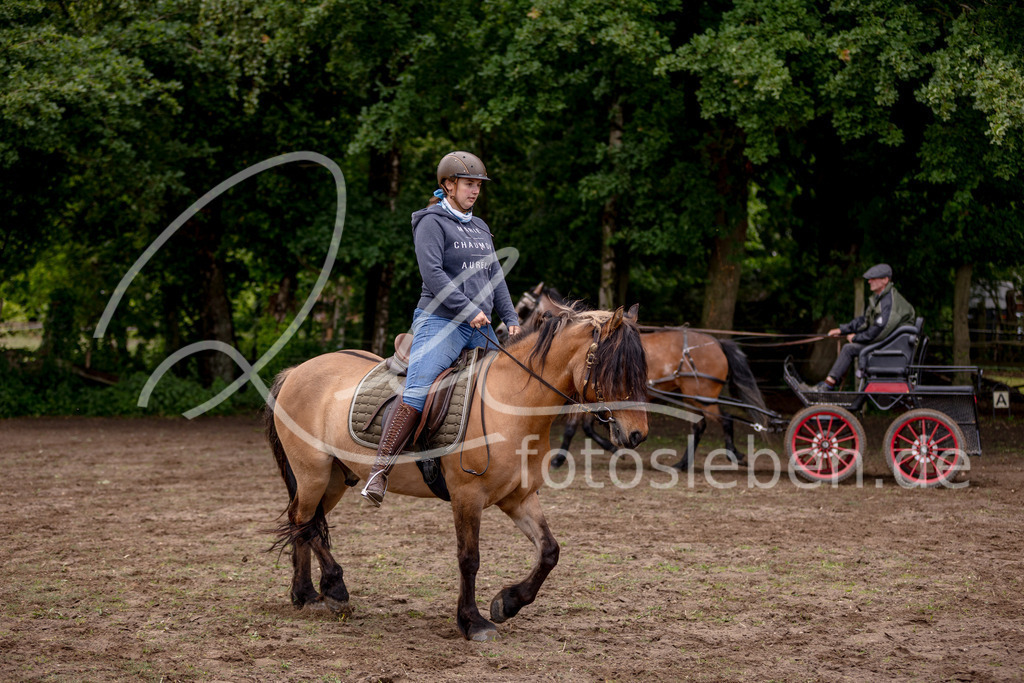 846A0628 | fotosleben - Realisiert mit Pictrs.com