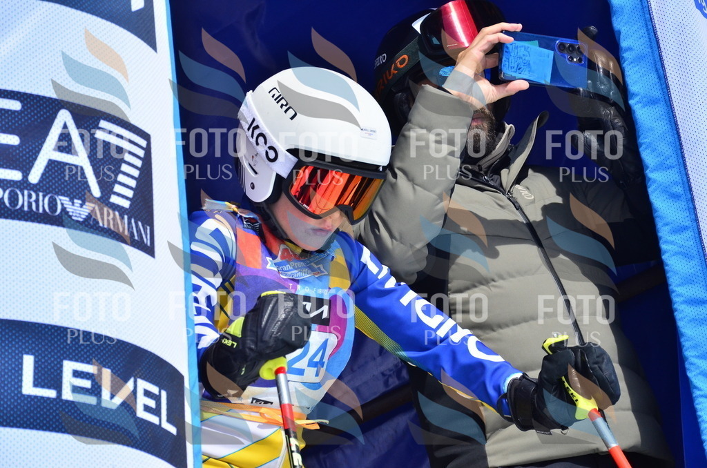 _ELE1582 | holidayphoto