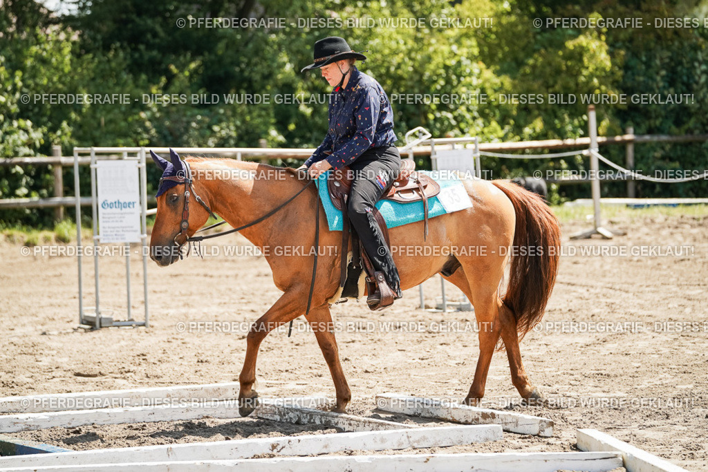 DSC06761 | Pferdegrafie