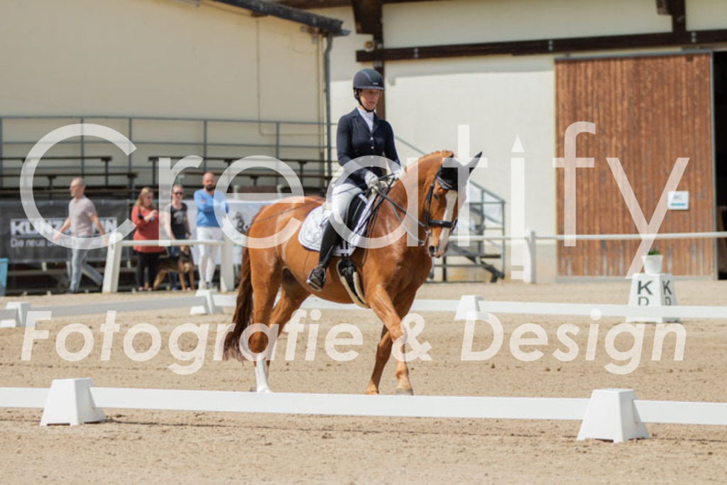 IMG_5715 | Creatify Fotografie