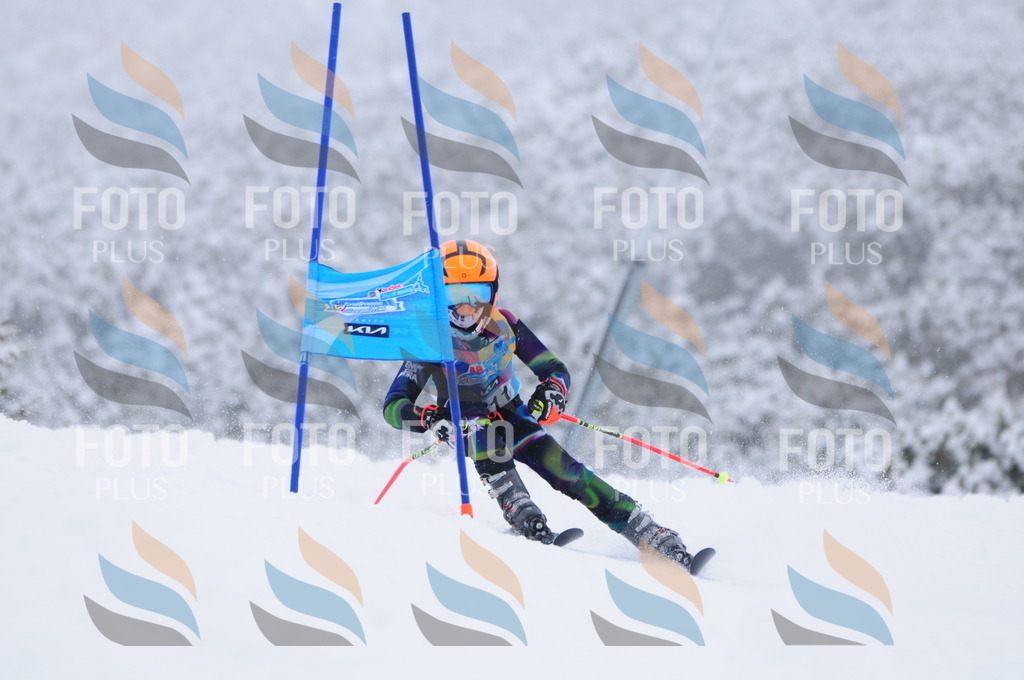 C3288 | holidayphoto