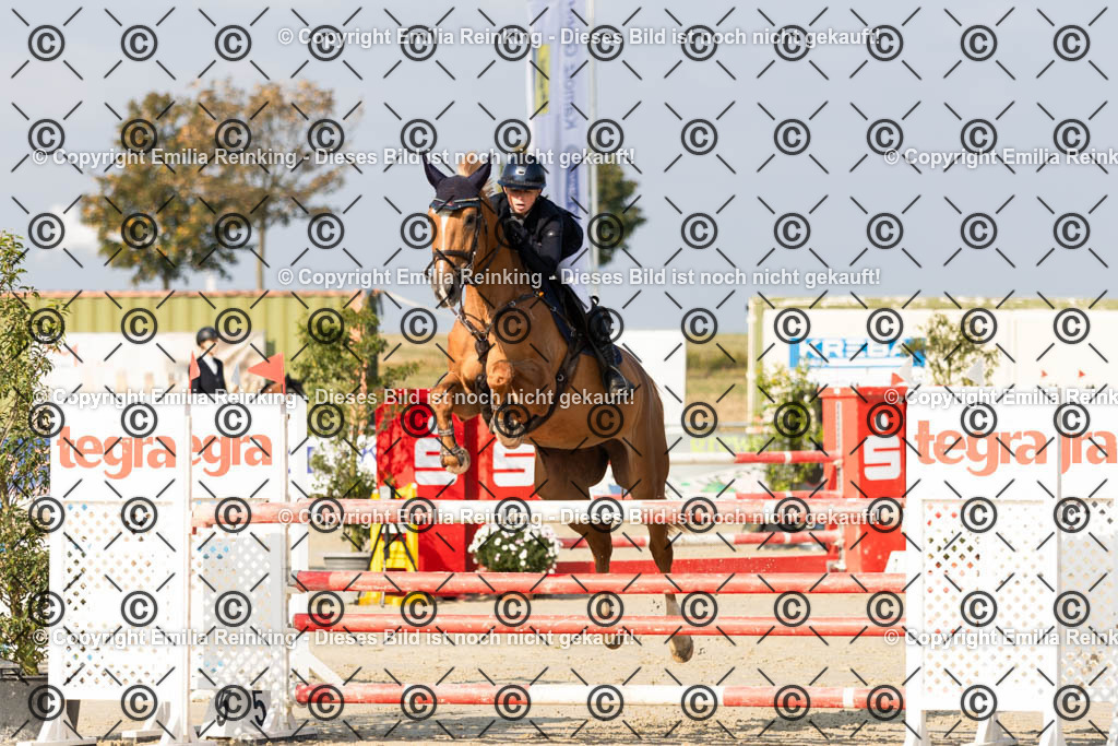 CL5A5161 | Emilia Reinking Fotografie - Realisiert mit Pictrs.com