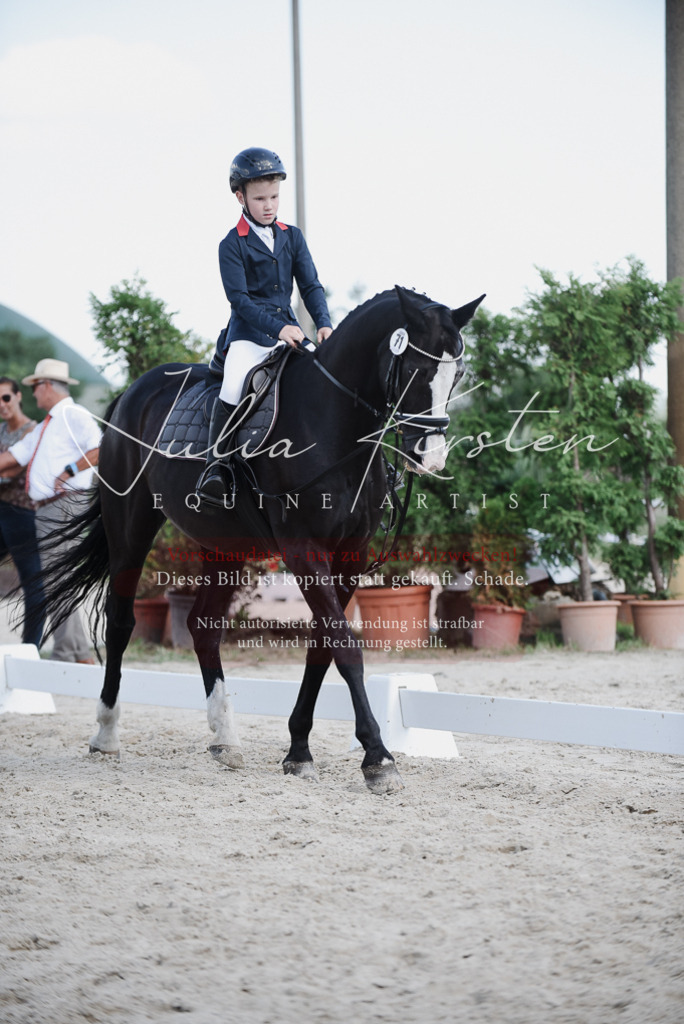 DSC_9963 | Pferde- und Turnierfotografie in Westsachsen. Pferdeportraits, Auftragszeichnungen und intuitive Kunst.