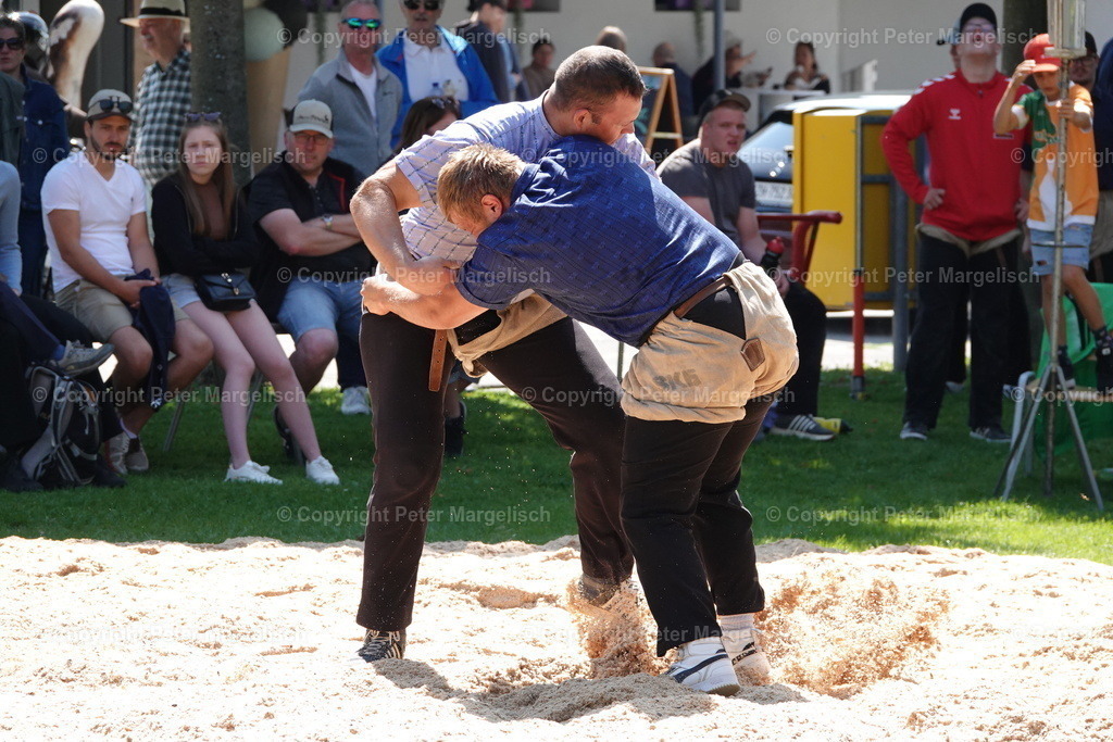 DSC01444 | Schwingen - Realisiert mit Pictrs.com