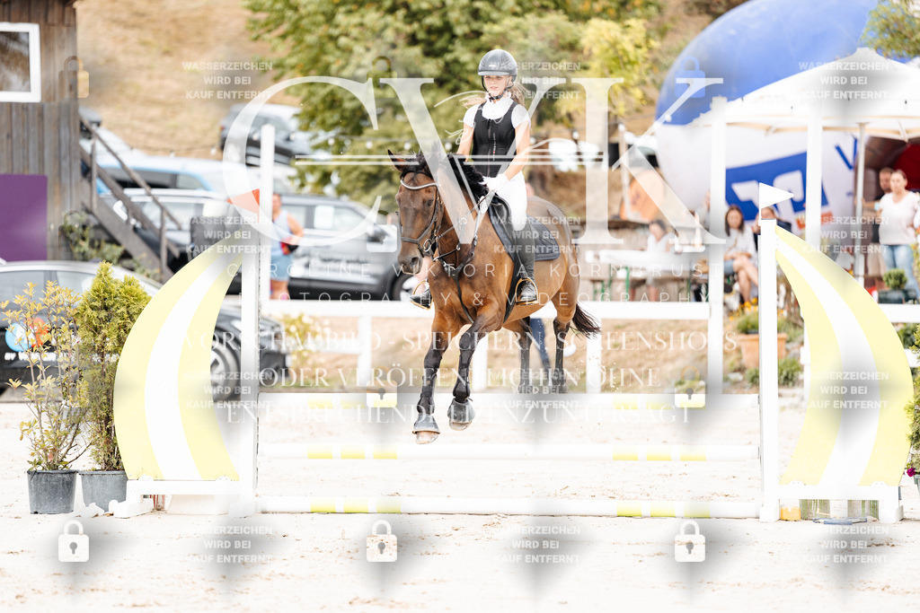 CK907787 | Turnierfotografie Pferdefotografie Trier Rheinland-Pfalz Pferdesport Reitsport Tierfotografie Sportfotografie Pferdevideo Pferdevideografie Equestrianvideography equestrianphotography  - Realisiert mit Pictrs.com