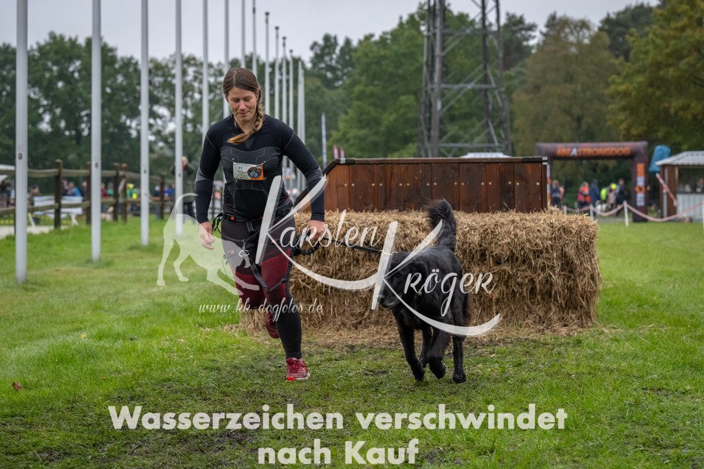 1119-94377 | kk-dogfotos