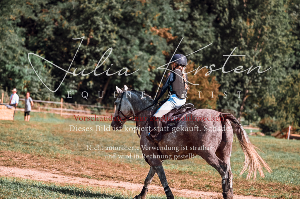 DSC_1154 | Pferde- und Turnierfotografie in Westsachsen. Pferdeportraits, Auftragszeichnungen und intuitive Kunst.