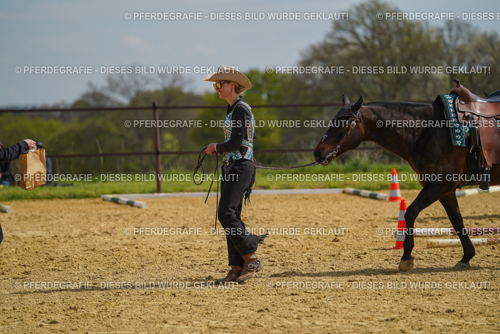 DSC04261 | Pferdegrafie