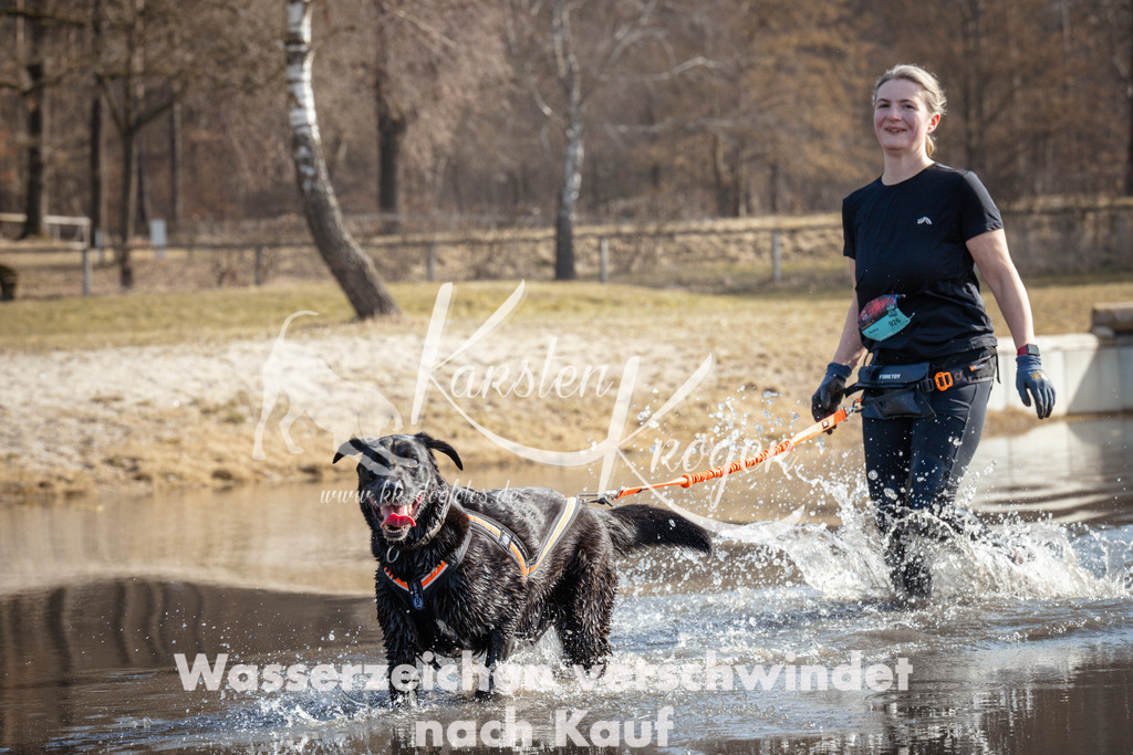 1119_ZZ93792 | kk-dogfotos