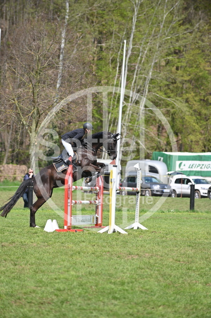 DSC_2435 | sattelsport - Realisiert mit Pictrs.com