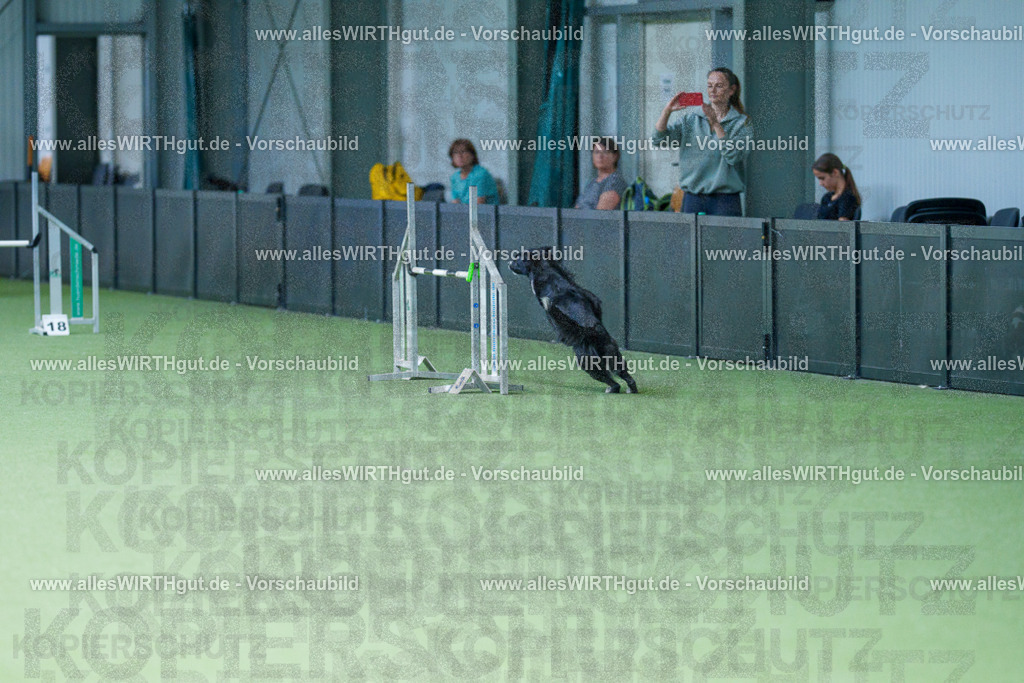 @allesWIRTHgut_Tierfotografie - www.allesWIRTHgut.de - 2604261132-7R509723 | Professionelle Tierfotografie in Mönchengladbach von Daniel Wirth (allesWIRTHgut). Liebevolle & natürliche Bilder von Hunden & Katzen für unvergessliche Erinnerungen.