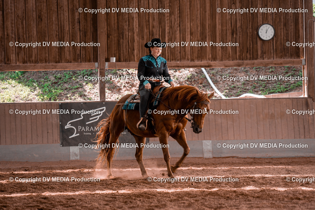 NE100595 | dv-media-shop - Realisiert mit Pictrs.com