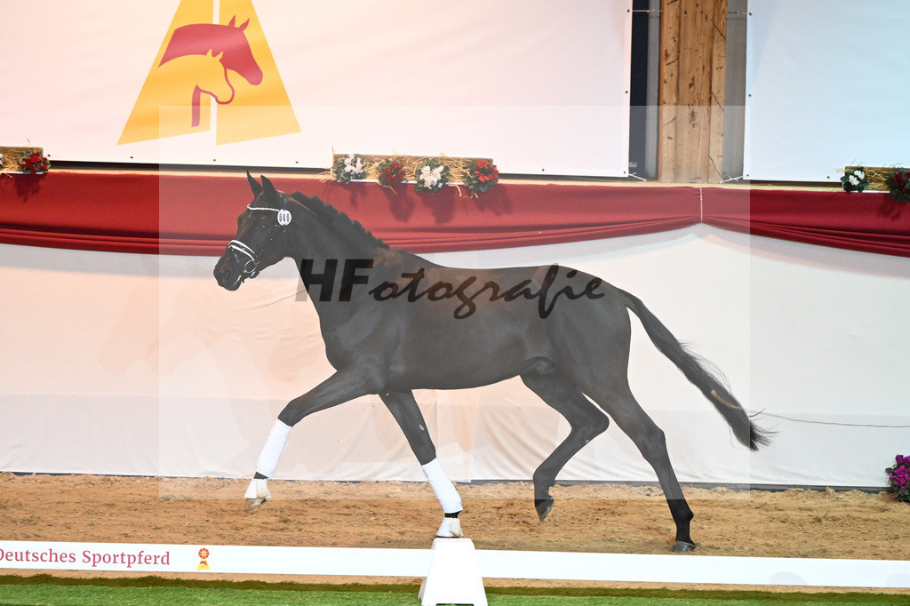 Kat-Nr. 40 Bon Courage_Klakow_1230096 | hf-fotografie - Realisiert mit Pictrs.com