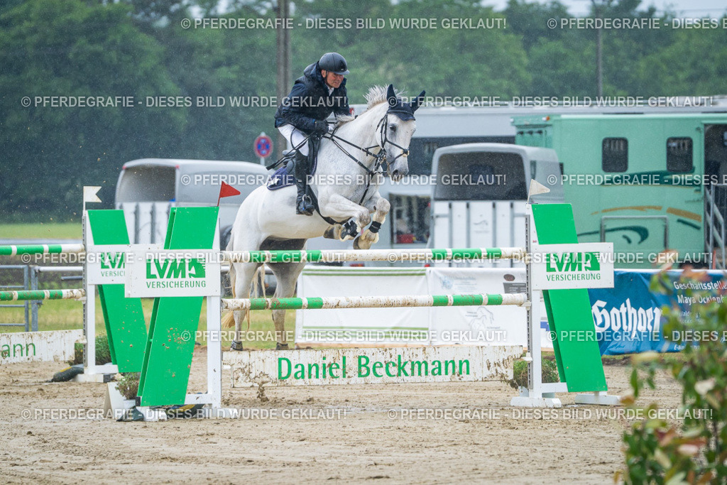 DSC00050 | Pferdegrafie