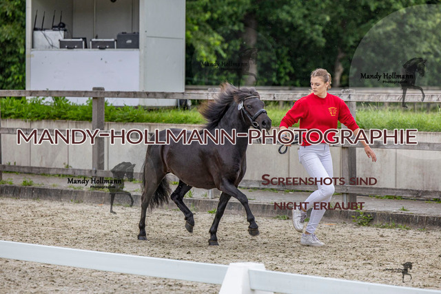 1 (9 von 76) | mandyhollmannphotographie