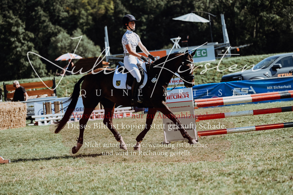 DSC_6746 | Pferde- und Turnierfotografie in Westsachsen. Pferdeportraits, Auftragszeichnungen und intuitive Kunst.