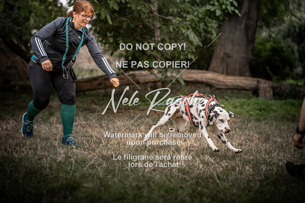 nelerasche_slaw24Fr1_260 | nelerasche