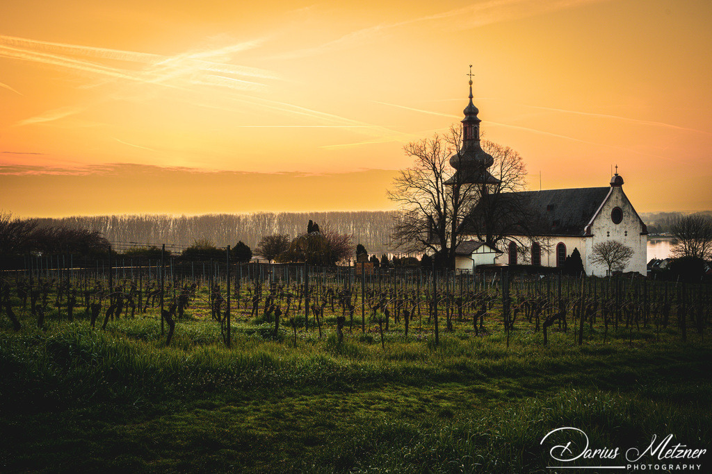 St Killianskirche in Nierstein | Die St Killianskirche in Nierstein 