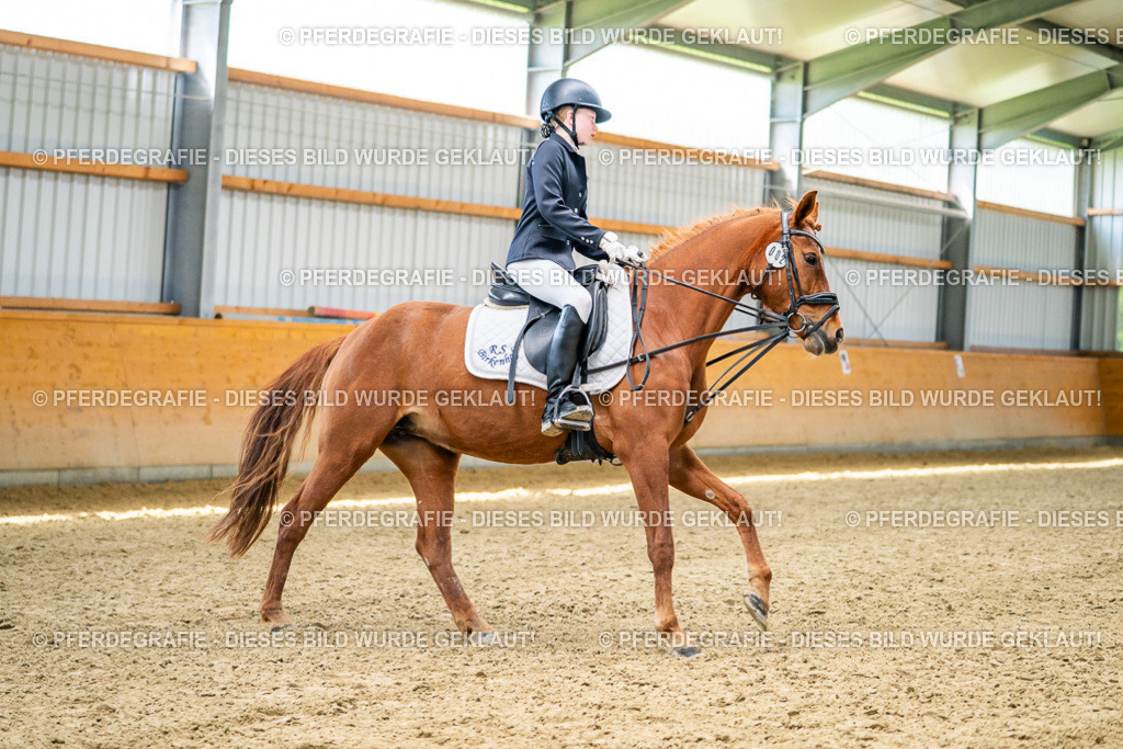 DSC03343 | Pferdegrafie