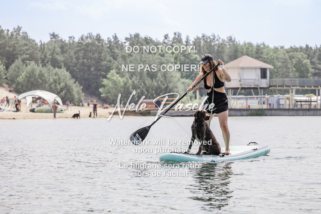 BUHU_SUP_756 | nelerasche