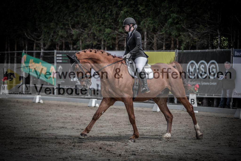 DSC_0766 | equestrian-live-com