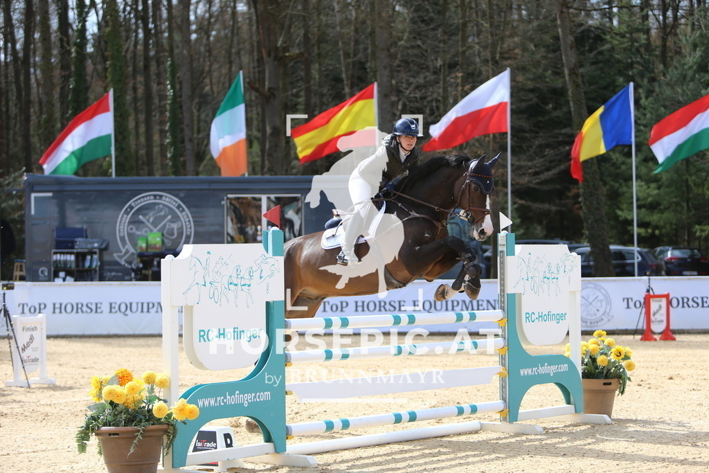 DL2Q9426 | Willkommen bei Brunnmayr - Design & Fotografie – Ihrem Spezialisten für Reitturniere und Pferdeveranstaltungen in Oberösterreich, Salzburg und Bayern! Seit über 17 Jahren sind wir leidenschaftlich dabei.