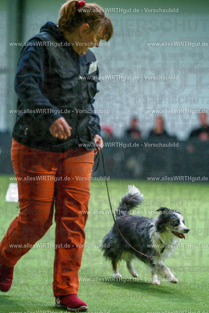 7R506440 | Professionelle Tierfotografie in Mönchengladbach von Daniel Wirth (allesWIRTHgut). Liebevolle & natürliche Bilder von Hunden & Katzen für unvergessliche Erinnerungen.