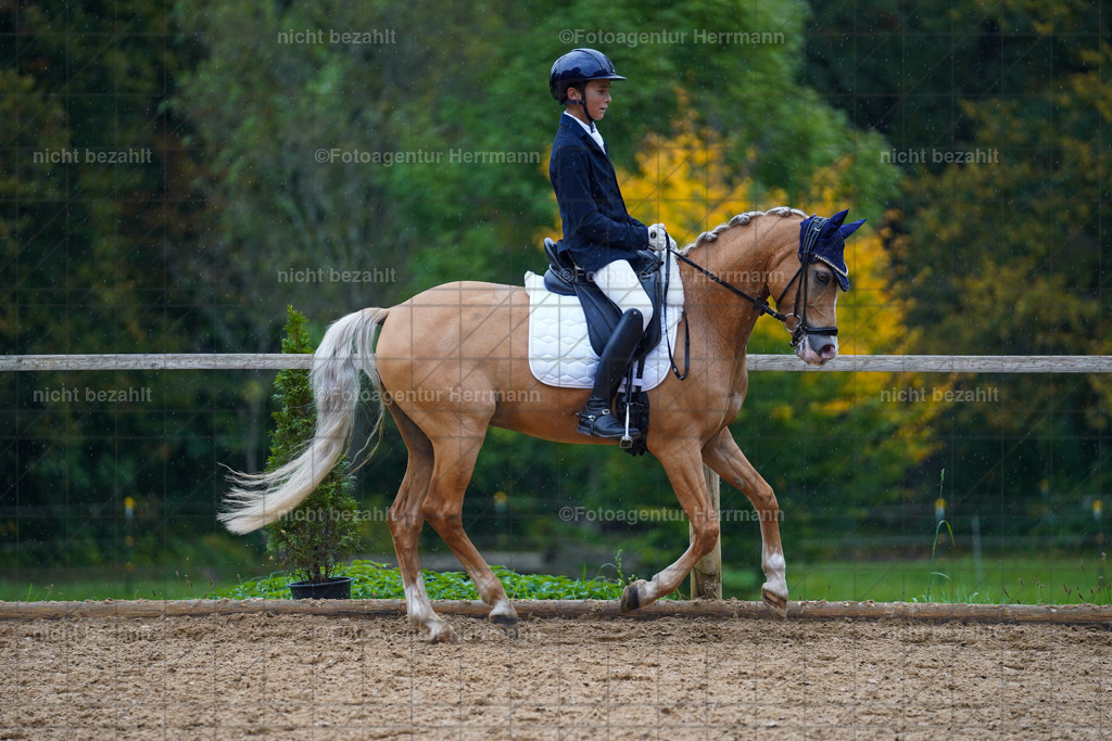 20221008-FAH02006 | Diessen am Ammersee, 2022, Dressur- und Springturnier, Reitsportbilder, Turnierfotografen Bayern, Pferdefotografen, Fotoagentur Herrmann, Turnierbilder