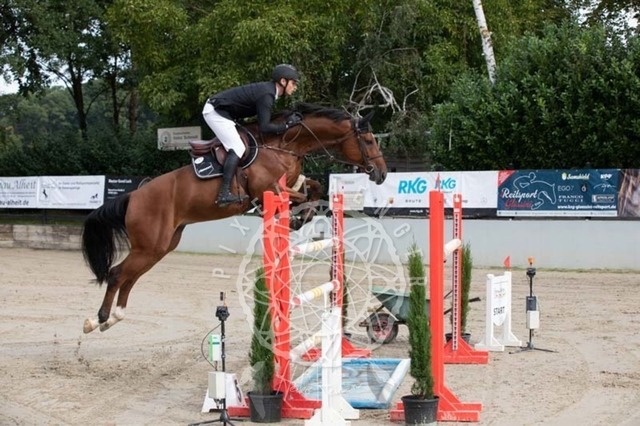 2B4A1183 | pixelfaenger - Realisiert mit Pictrs.com