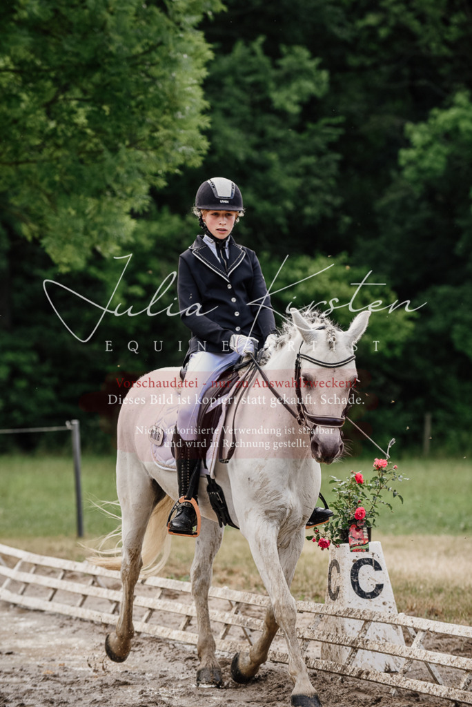 DSC_9422 | Pferde- und Turnierfotografie in Westsachsen. Pferdeportraits, Auftragszeichnungen und intuitive Kunst.