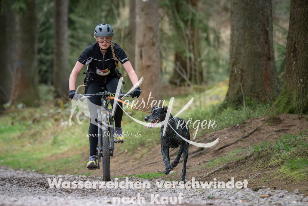 0945_ZZ91890 | kk-dogfotos